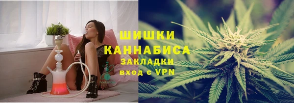 ГАЛЛЮЦИНОГЕННЫЕ ГРИБЫ Балахна