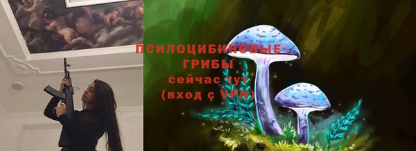 ГАЛЛЮЦИНОГЕННЫЕ ГРИБЫ Балахна