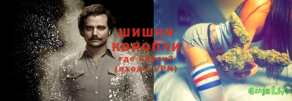 ГАЛЛЮЦИНОГЕННЫЕ ГРИБЫ Балахна